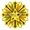 Bloom of Luck - Free Fire Bundles