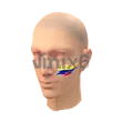 Colombia Facepaint - Free Fire Skins