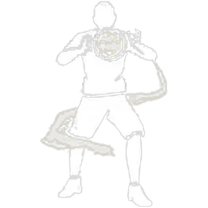 Controlled Combustion - Free Fire Bundles