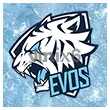 EVOS - Free Fire Bundles