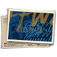 EVOS Champion Banner