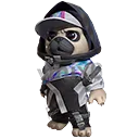 Pet Skin: City Pug - Free Fire Pets